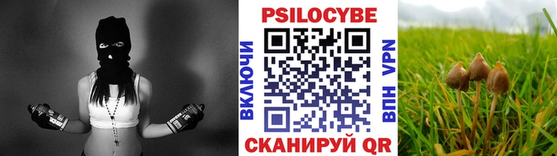 Купить где  Мичуринск  Псилоцибиновые грибы мухоморы 